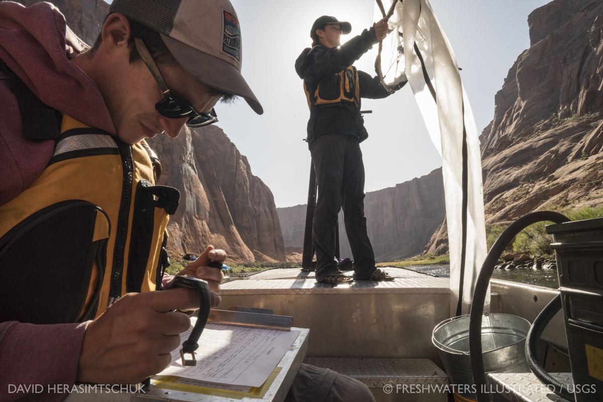 USGS and partners study aquatic insects in the Colorado River downstream of Glen Canyon Dam